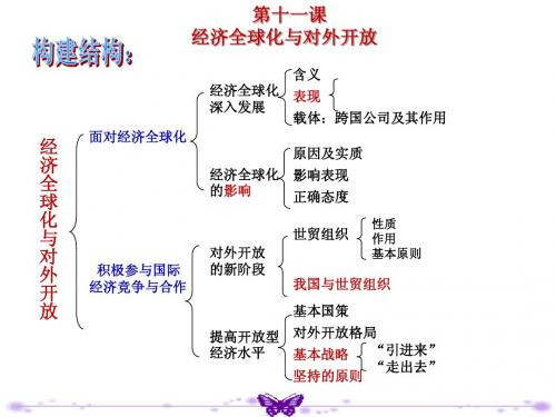 高中政治必修1《积极参与国际竞争与合作》课件(共11张PPT)