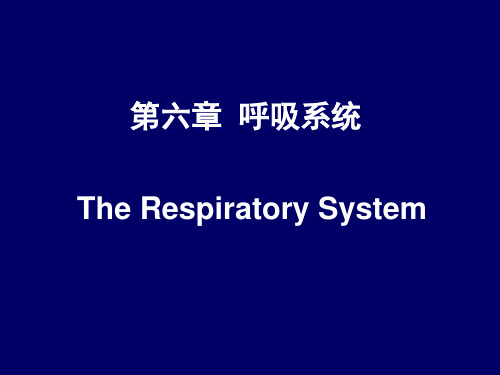 系统解剖学 第六章  呼吸系统