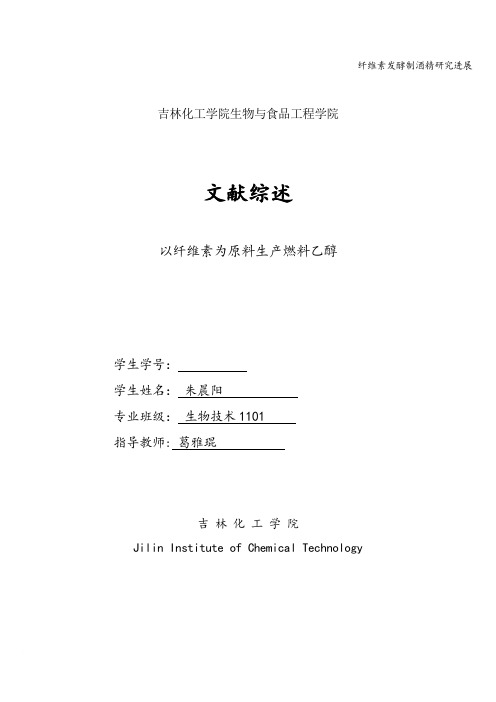 纤维素发酵制酒精研究进展