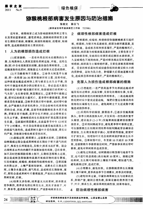 猕猴桃根部病害发生原因与防治措施