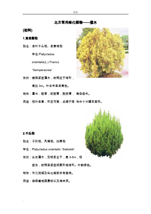 北方园林绿化常用植物-灌木
