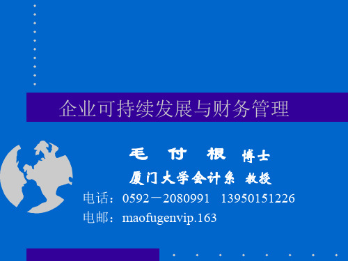 企业可持续发展和财务管理-129页PPT文档资料