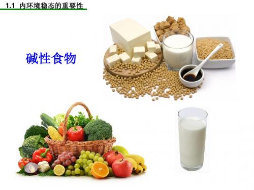 人教版必修3高中生物《内环境稳态的重要性》课件