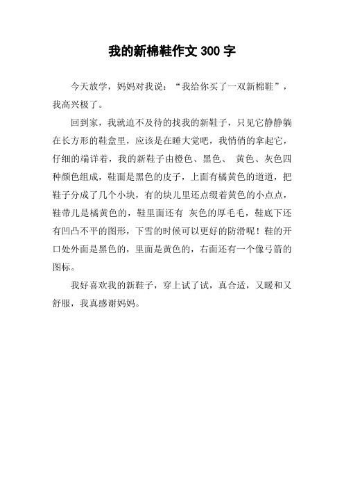 我的新棉鞋作文300字