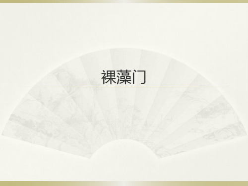 裸藻门