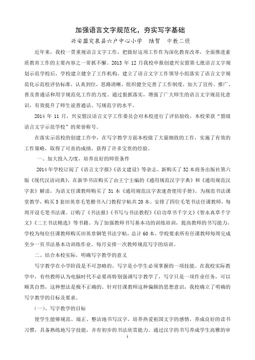 加强语言文字规范化,夯实写字基础(陆贺)