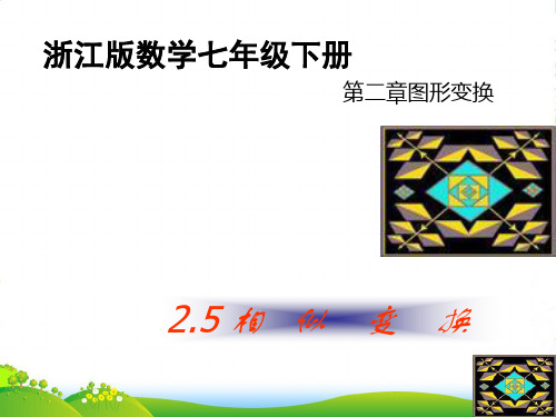 七年级数学下册 《相似变换》课件 浙教