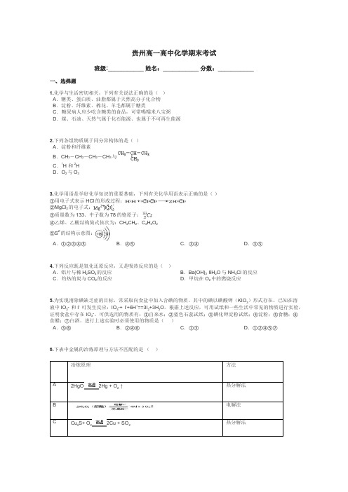 贵州高一高中化学期末考试带答案解析
