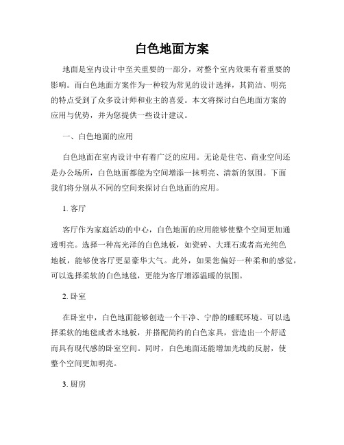 白色地面方案