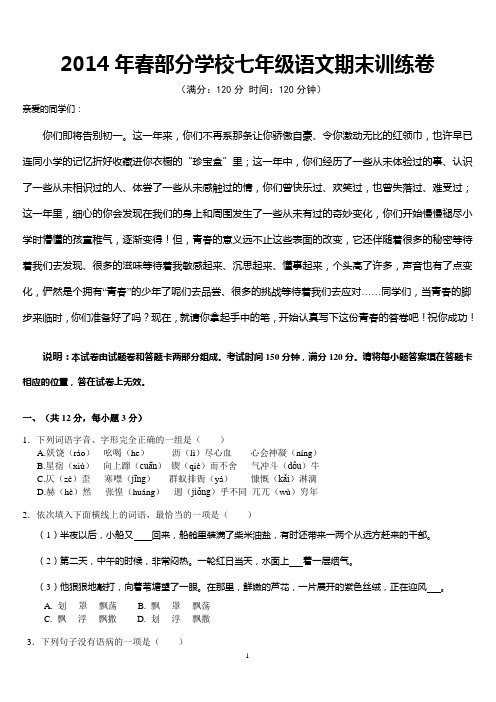 2014武汉市期末训练卷语文
