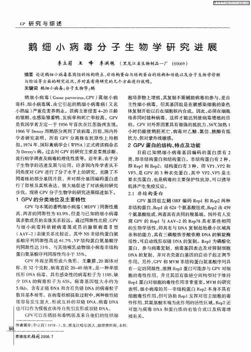 鹅细小病毒分子生物学研究进展