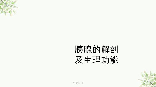 胰腺的解剖及生理功能课件