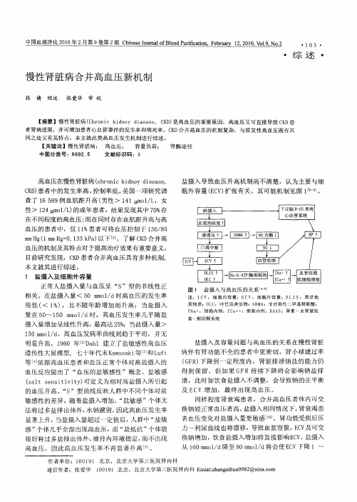 慢性肾脏病合并高血压新机制