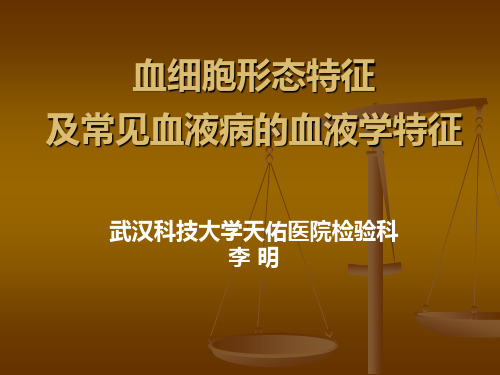 LM血细胞形态