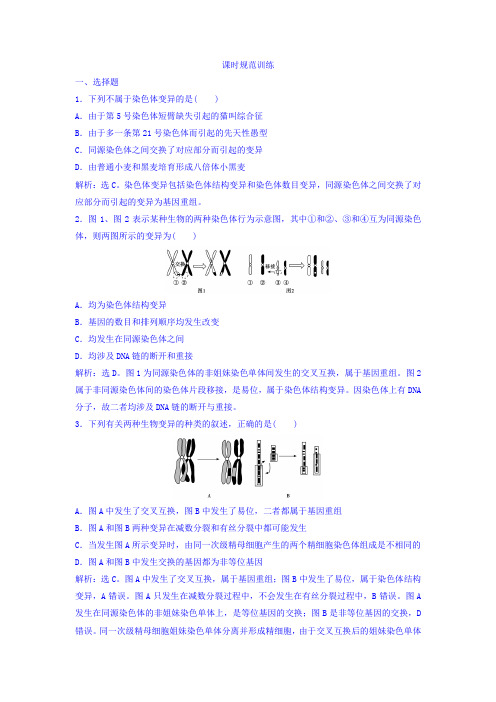 2018届高考生物新课标大一轮复习领航习题：第七单元 生物的变异、育种和进化 7-2 课时规范训练 含答案 精品