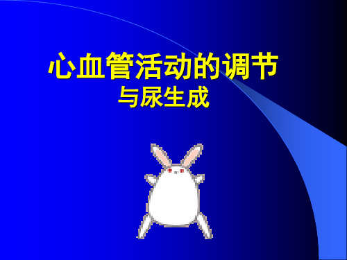 心血管调节.ppt
