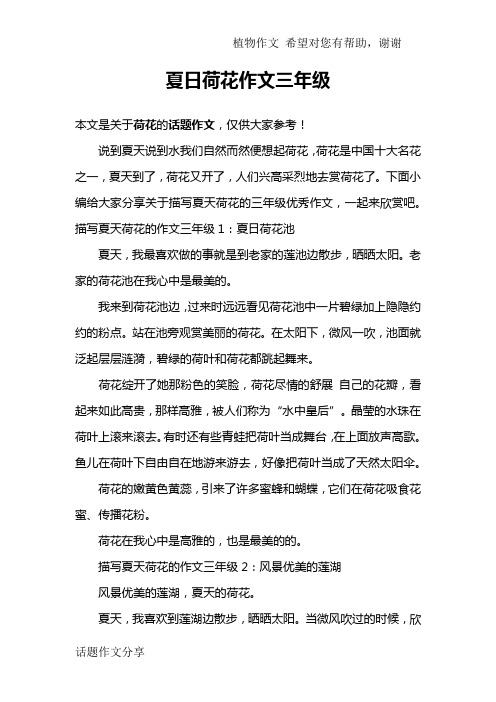 夏日荷花作文三年级
