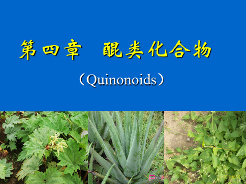 天然药物化学-醌类化合物-4学时