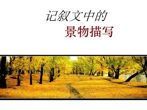 中考作文指导：记叙文中的景物描写 PPT课件(共19张)