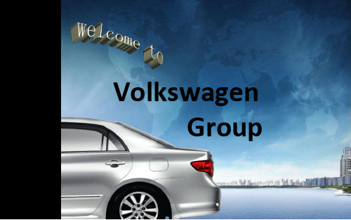 大众 Volkswagen Group