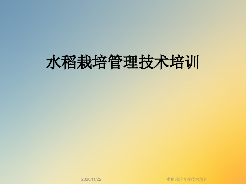 水稻栽培管理技术培训