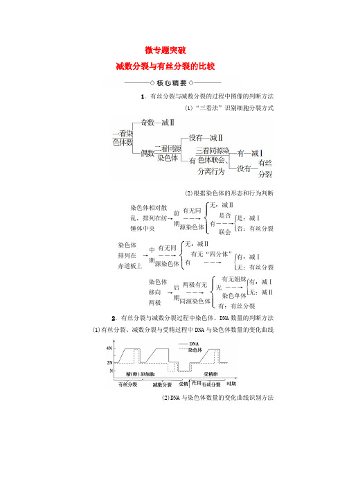 版高中生物第2章染色体与遗传减数分裂与有丝分裂的比较微专题突破浙科版必修2word版本