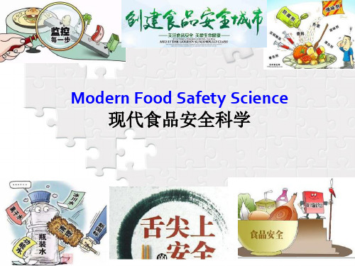 英文教材食品安全Overview_food_safety