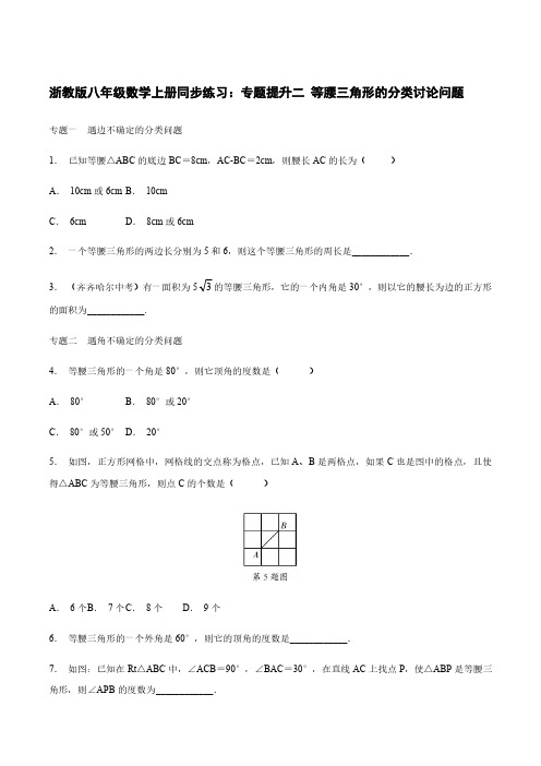 浙教版八年级数学上册同步练习：专题提升二  等腰三角形的分类讨论问题含答案