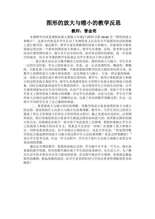 图形的放大与缩小的教学反思