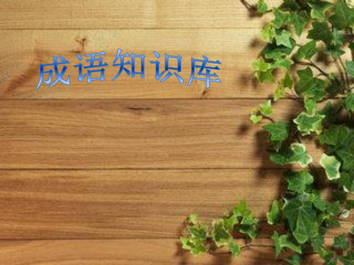 成语知识大全