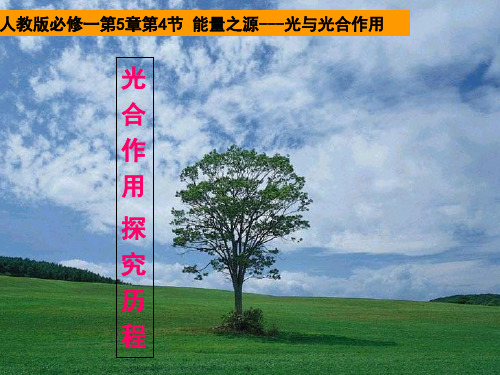 人教版高中生物必修一第5章第4节 能量之源---光和光合作用  课件(共13张PPT)
