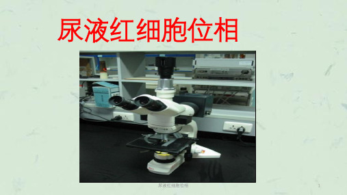 尿液红细胞位相课件