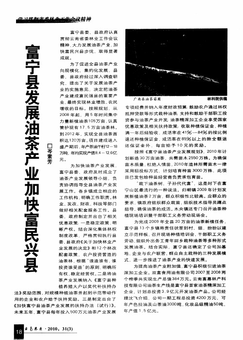 富宁县发展油茶产业加快富民兴县