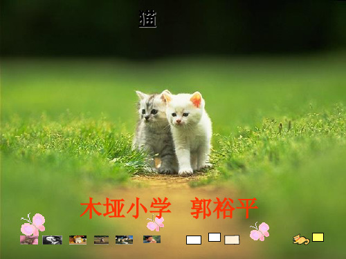 人教版四年级上册语文15《猫》ppt