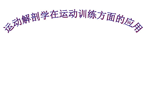 运动解剖学在运动训练方面的应用PPT课件