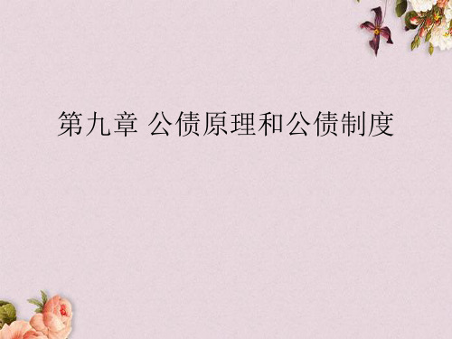 公债原理和公债制度教材(PPT 39页)