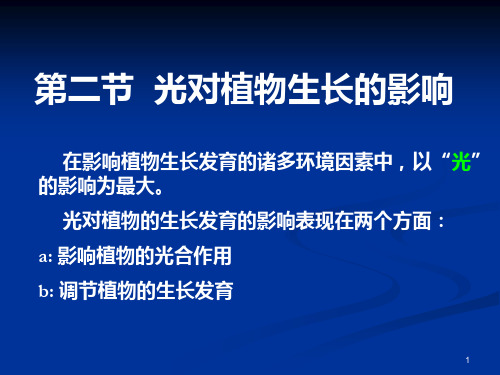 光对植物生长的影响ppt课件