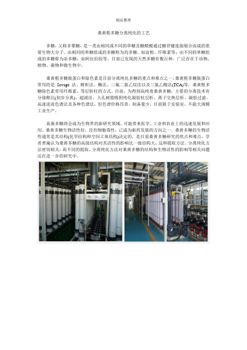桑黄粗多糖分离纯化的工艺