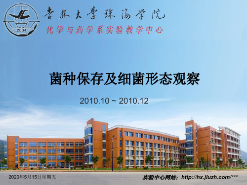 实验三：菌种保存及细菌形态观察分解