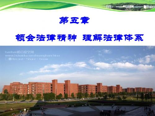 第五章  领会法律精神   理解法律体系