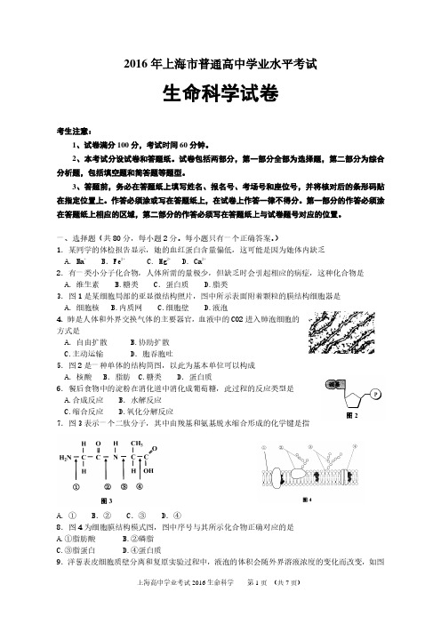 2016年上海市普通高中学业水平考试生命科学试题及答案