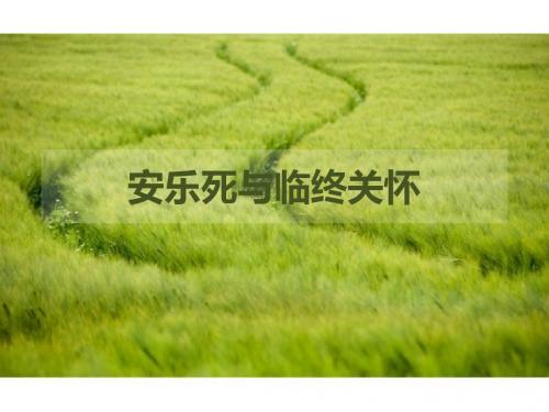 安乐死与临终关怀