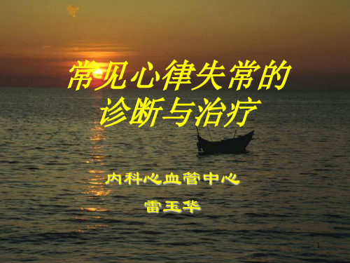 常见心律失常的诊断及治疗ppt课件