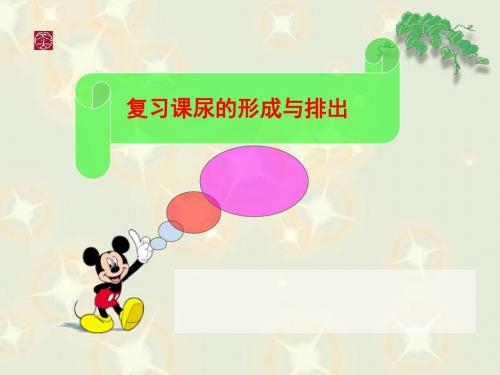 尿的形成与排出PPT课件1
