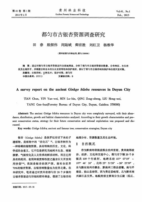 都匀市古银杏资源调查研究