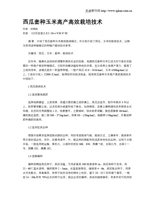 西瓜套种玉米高产高效栽培技术