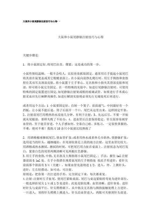 尾静脉注射技巧档
