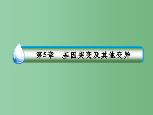 高中生物 第5章 基因突变及其他变异 第3节 人类遗传病课件 新人教版必修2