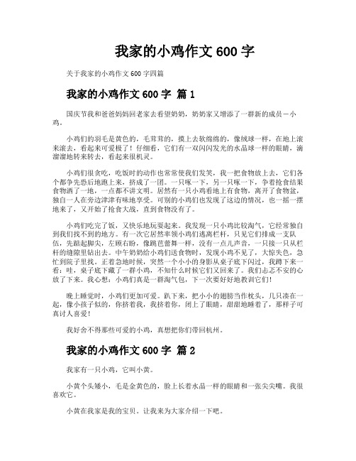 我家的小鸡作文600字