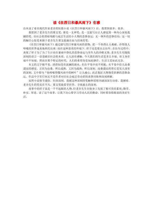 高中语文 读《在烈日和暴风雨下》有感作文素材